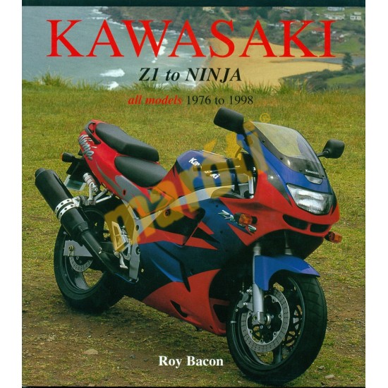 Kawasaki Z1 to Ninja