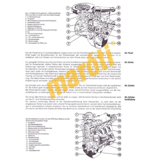 Ford Fiesta Benzin Diesel April 1989 bis Januar 1996 (Javítási kézikönyv)