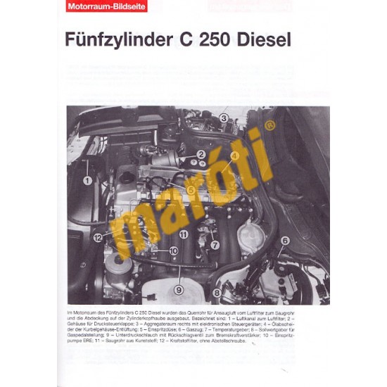 Mercedes-Benz C 200/220/250 Diesel Juni 1993 bis June 2000