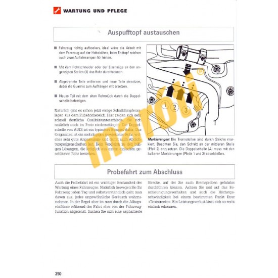 Audi A3 mit Sportback und Cabrio Benzin Diesel 2003- (Javítási kézikönyv)