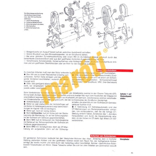 VW Golf GTI GTI 16V/VR 6 VW Vento GT/VR 6 ab Januar 1992 (Javítási kézikönyv)