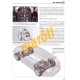 VW Passat Limusine und Variant Benzin Diesel Ab Modelljahr 2005 (Javítási kézikönyv)