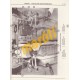 Chevrolet Sprint & Geo Metro 1985 - 1994