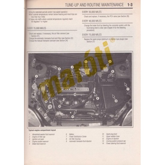 Dodge Neon 2000 - 2003