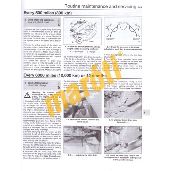 Triumph Daytona, Speed Triple, Sprint & Tiger 1997 -2000