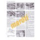 Triumph Daytona, Speed Triple, Sprint & Tiger 1997 -2000