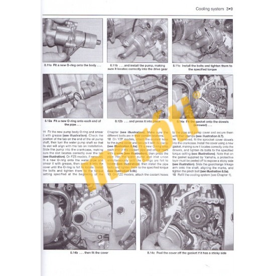 Yamaha YZF600R Thundercat, FZS600 Fazer 1996 - 2003