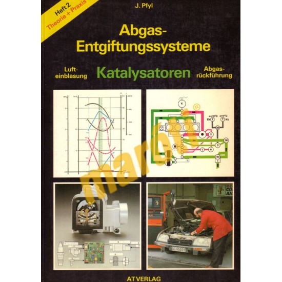 Abgas-Entgiftungssysteme- Katalysatoren
