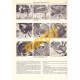 VW Beetle 1303, 1303S & GT (1972 - 1975) up to P