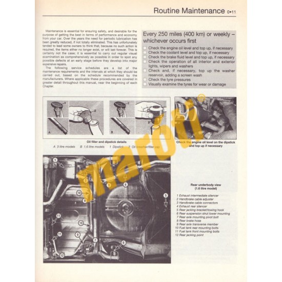 Austin/Rover Montego 1.3 & 1.6 (1984-1994 Petrol)