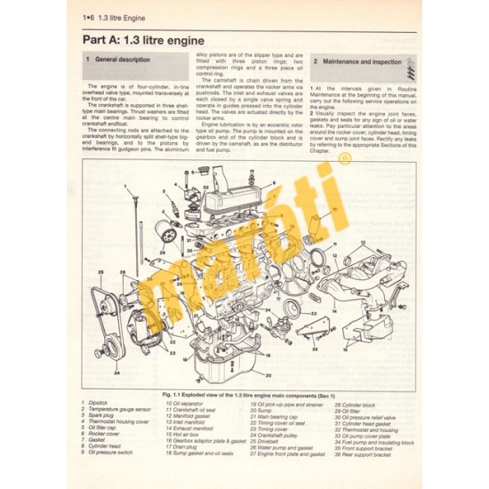 Austin/Rover Montego 1.3 & 1.6 (1984-1994 Petrol)