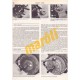 Fiat Tipo Petrol (1988-1991)