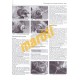 VW Golf & Vento Petrol & Diesel (Feb 92 - Mar 98) J to R