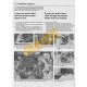 Mercedes-Benz 124 Series Petrol & Diesel (1985 - Aug 93) C to K