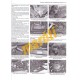 Saab 9-3 Sept 2007 to 2011 Petrol & Diesel