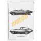 Jaguar E Type (1961 - 1972) up to L