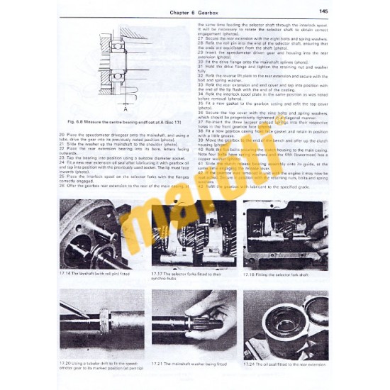 MG Midget & Austin-Healey Sprite (1958 - 1980) up to W