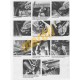 Triumph TR7 (1975 - 1982) up to Y