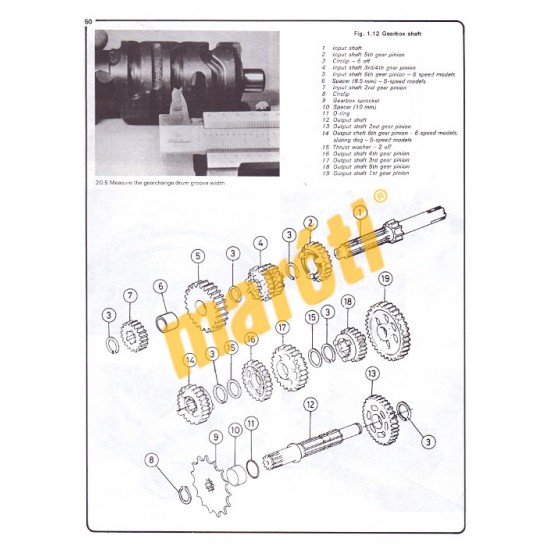Kawasaki AE/AR 50 & 80 (1981 - 1995)