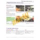 Honda VTR1000F (FireStorm, Super Hawk) 1997-2007 XL1000V Varadero (1999-2008)