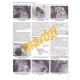 Gilera Runner, DNA, Ice & SKP/Stalker(1997 - 11)