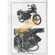 Honda MB, MBX, MT & MTX50 (1980 - 1993)