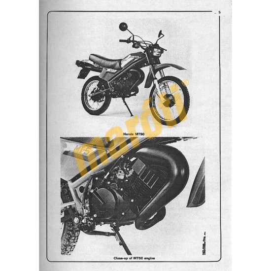Honda MB, MBX, MT & MTX50 (1980 - 1993)