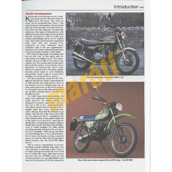 Kawasaki Ninja ZX-7R & ZX-9R (1994 - 04)