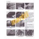 Honda VFR800 V-Tec V-Fours (2002 - 2009)