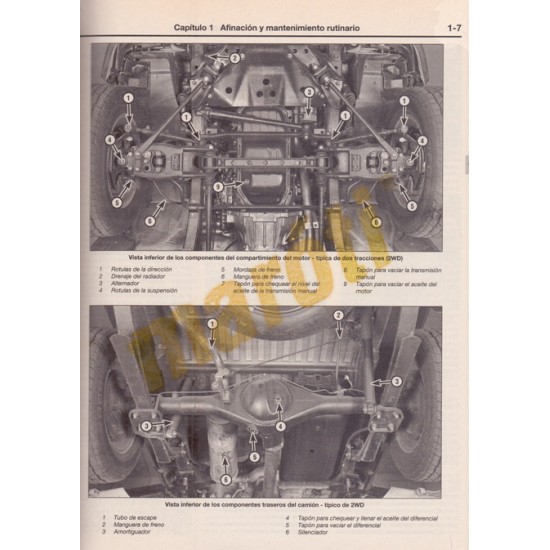 Toyota Camionetas y 4-Runner