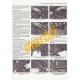 Ford Focus Petrol & Diesel (2011 - 2014)