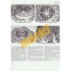 Mercedes-Benz E-Class Diesel 2002-2010