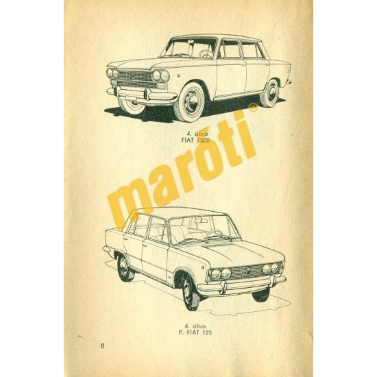 Így gondozd a Fiatodat