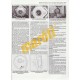 Fiat Grande Punto, Punto EVO & Punto Petrol (2006 - 2015) 55 to 15 reg