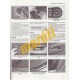 Fiat Grande Punto, Punto EVO & Punto Petrol (2006 - 2015) 55 to 15 reg