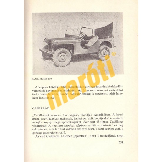 A gépkocsi regénye