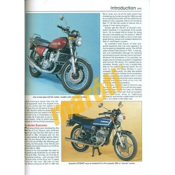 Suzuki DL650 V-Strom (2004- 2013) & SFV650 Gladius (2009-2013)