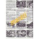 Peugeot V-Clic, Speedfight 3, Vivacity 3, Kisbee & Tweet (2008 - 14)