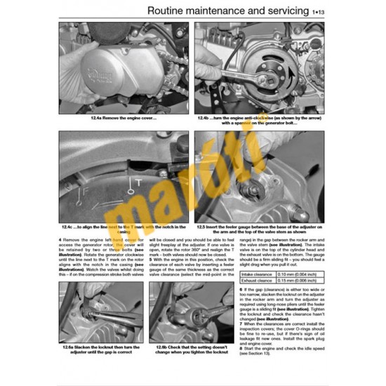 Pit bikes