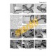 Peugeot 208 (2012 - 2019) (12 to 69 reg) Petrol & Diesel Peugeot 208 (2012 - 2019) (12 to 69 reg) Petrol & Diesel