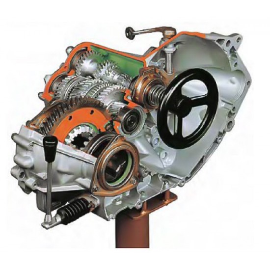 Manuális sebességváltó (transzverzális) - metszet