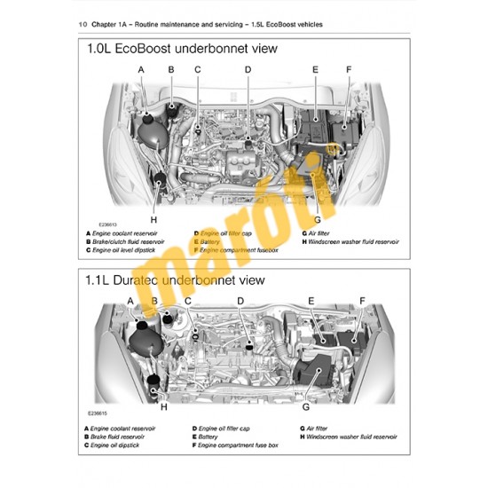 Ford Fiesta Petrol (2017 - 2023)