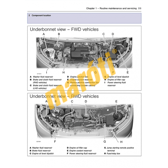 Ford Transit (2014-2019) Diesel